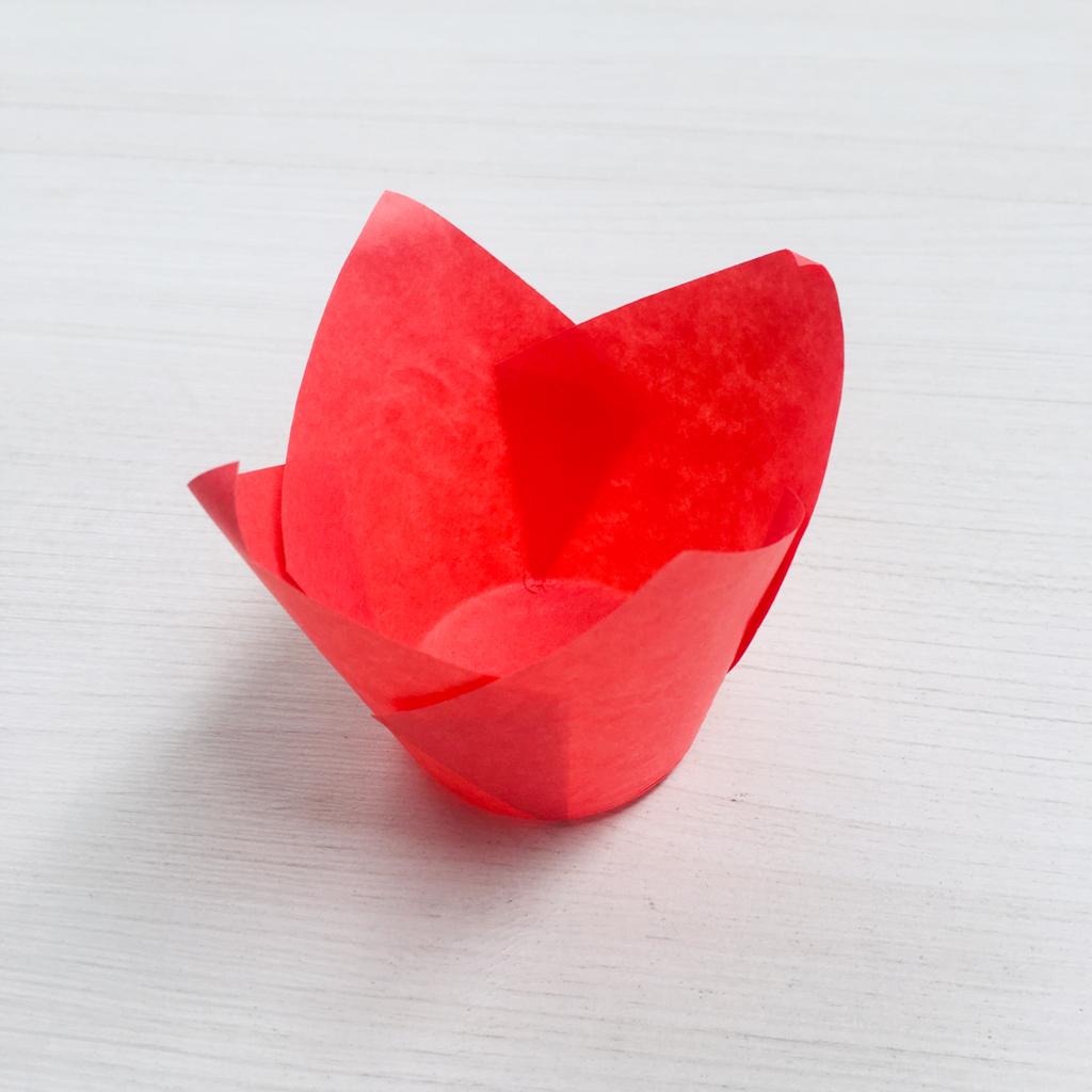 Tulipas Rojo ( 25 un )