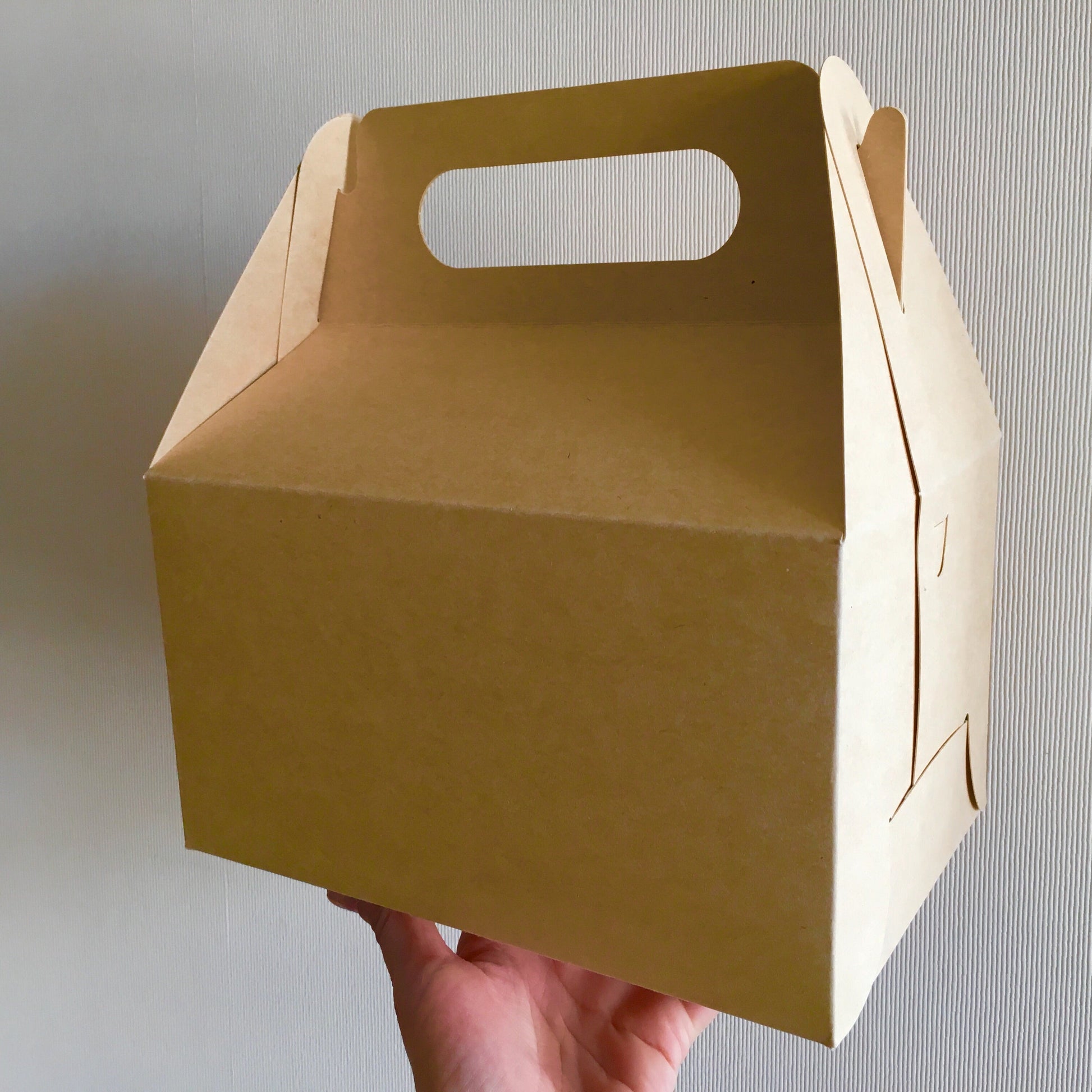 Caja Lunch Boutique - Desechables Chiguayante