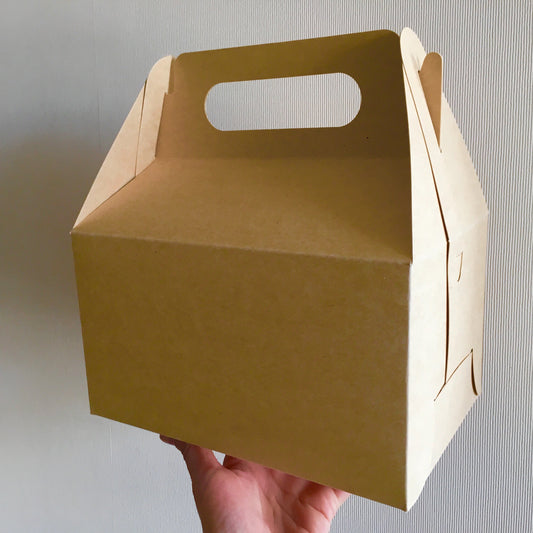 Caja Lunch Boutique - Desechables Chiguayante