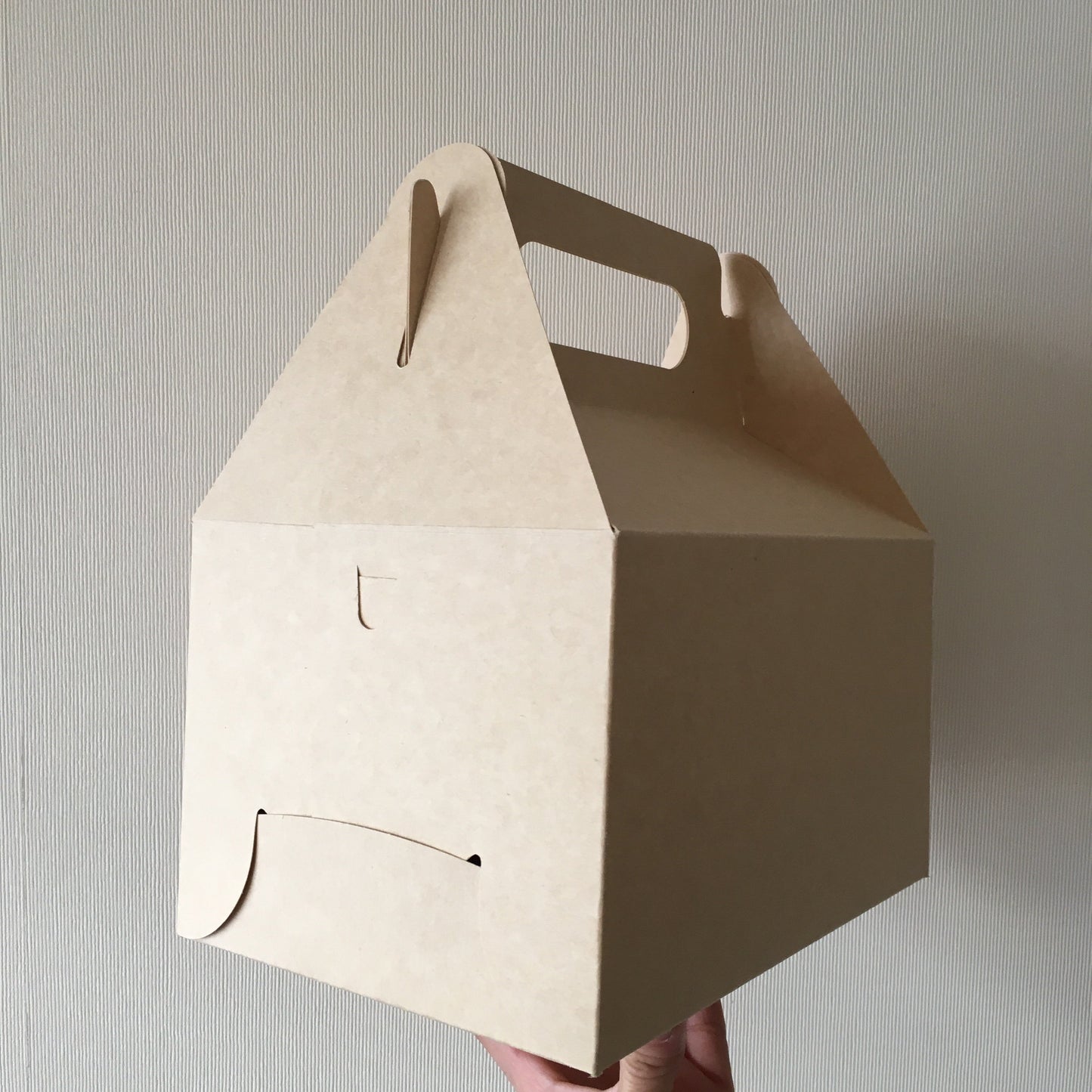 Caja Lunch Boutique - Desechables Chiguayante