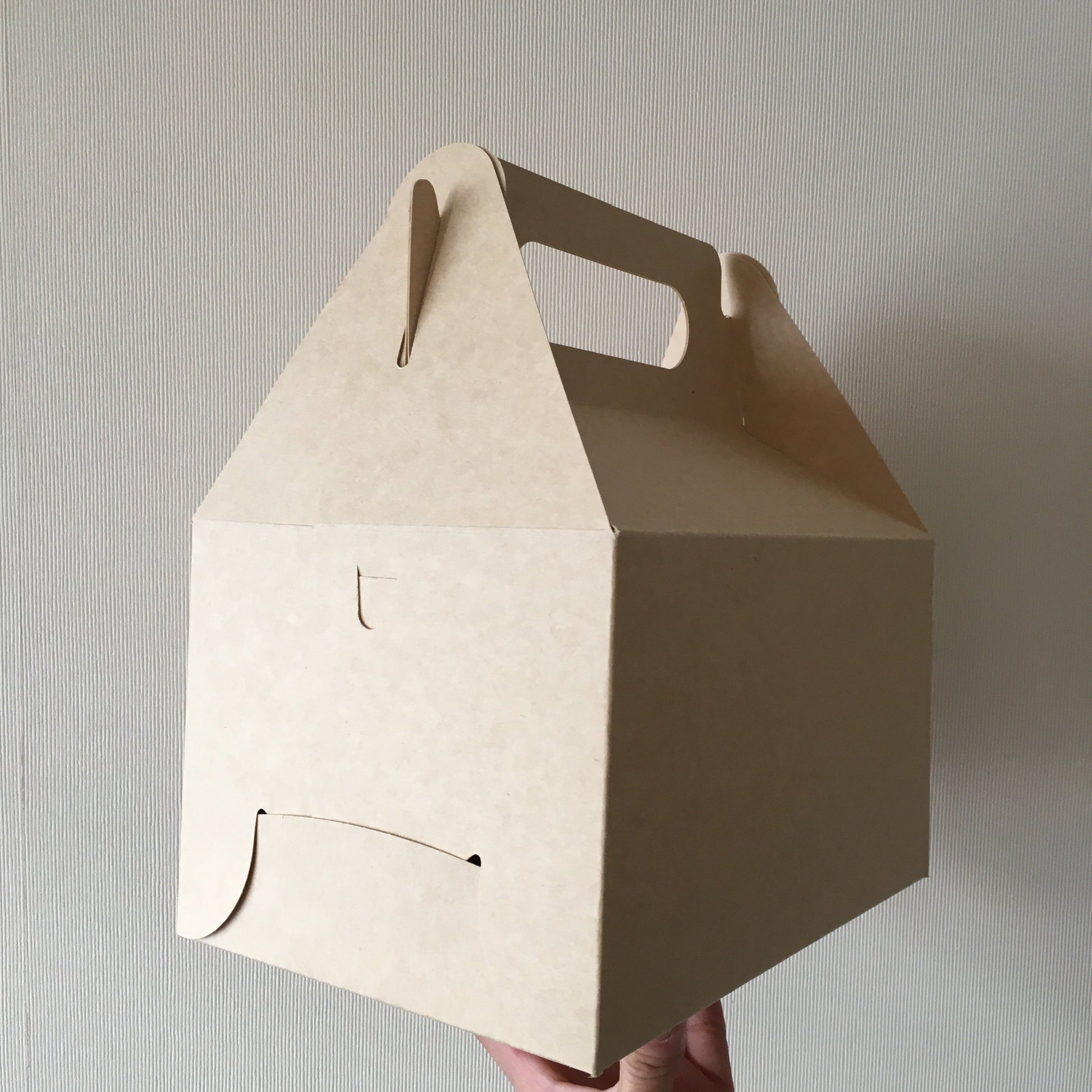 Caja Lunch Boutique - Desechables Chiguayante