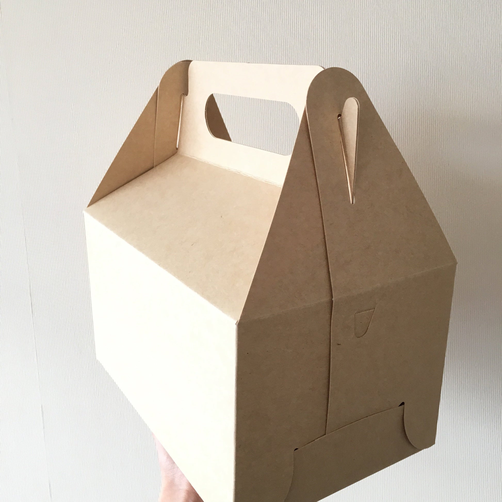 Caja Lunch Boutique - Desechables Chiguayante
