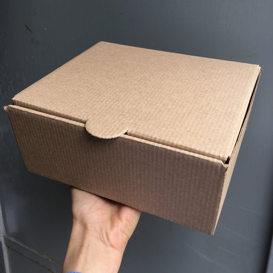 Caja M 20x16,5x9 cm - Desechables Chiguayante