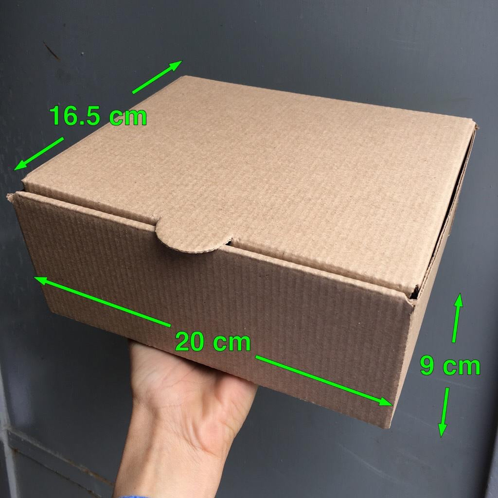 Caja M 20x16,5x9 cm - Desechables Chiguayante