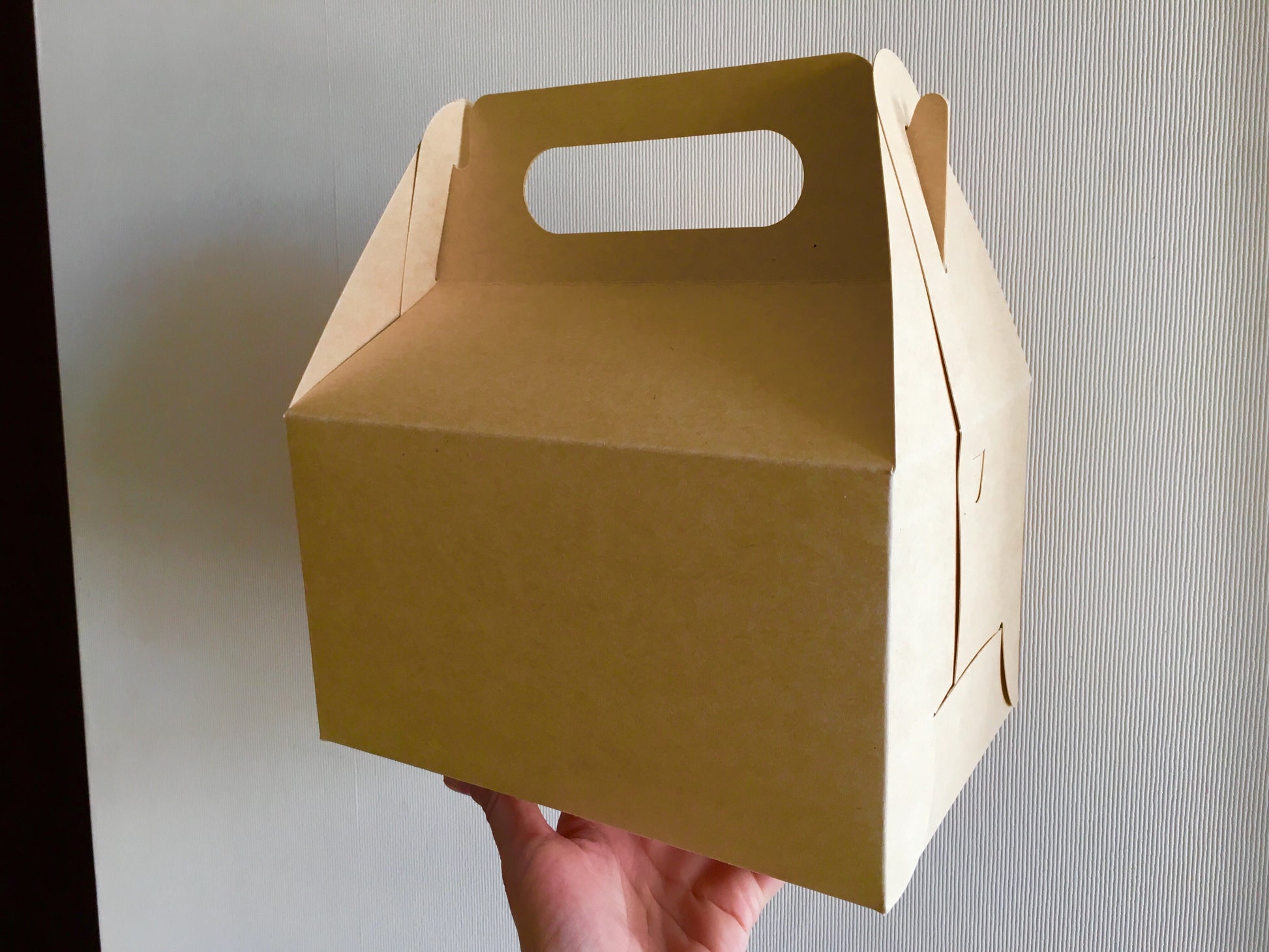 Caja Lunch Boutique - Desechables Chiguayante