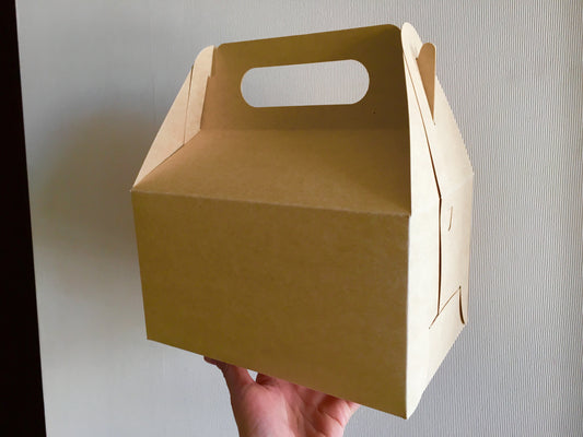 Caja Lunch Boutique - Desechables Chiguayante
