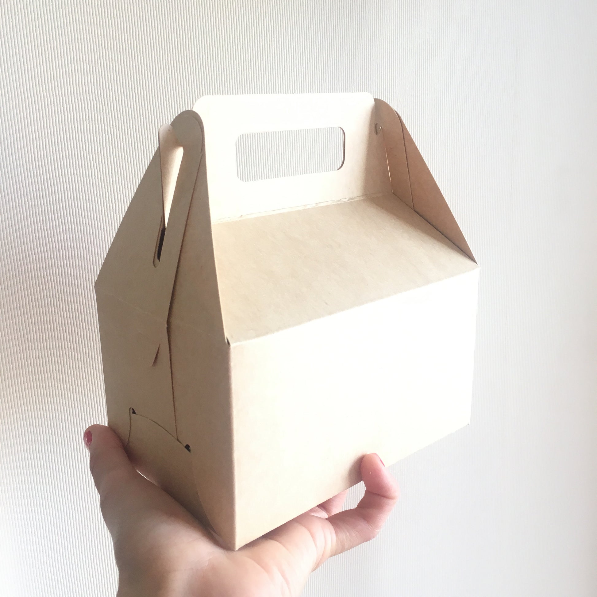 Caja Lunch Boutique Pequeña - Desechables Chiguayante