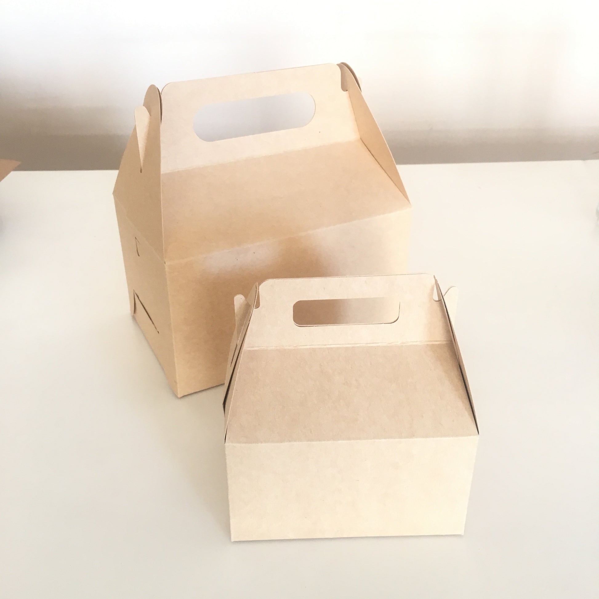 Caja Lunch Boutique Pequeña - Desechables Chiguayante