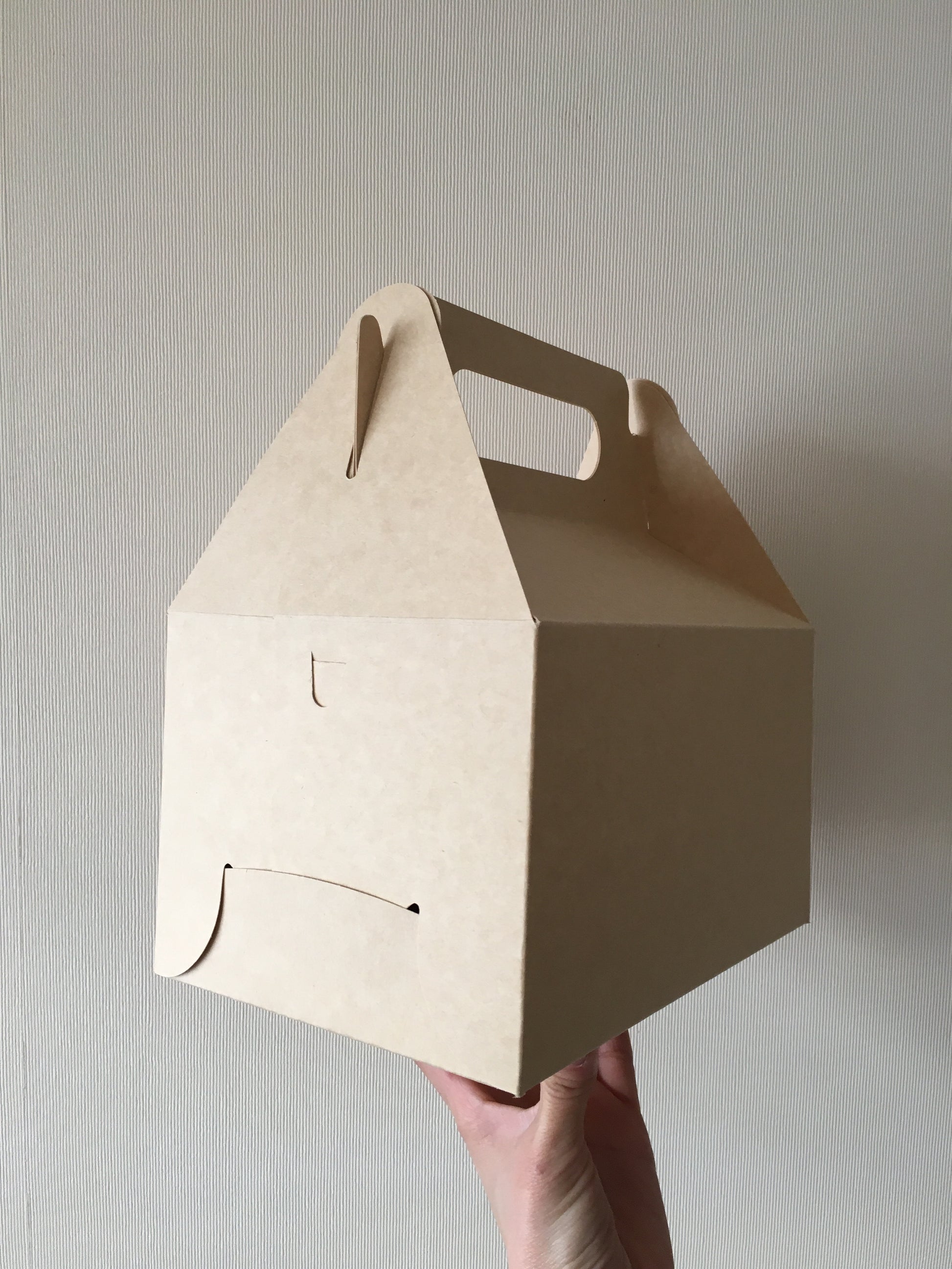 Caja Lunch Boutique - Desechables Chiguayante