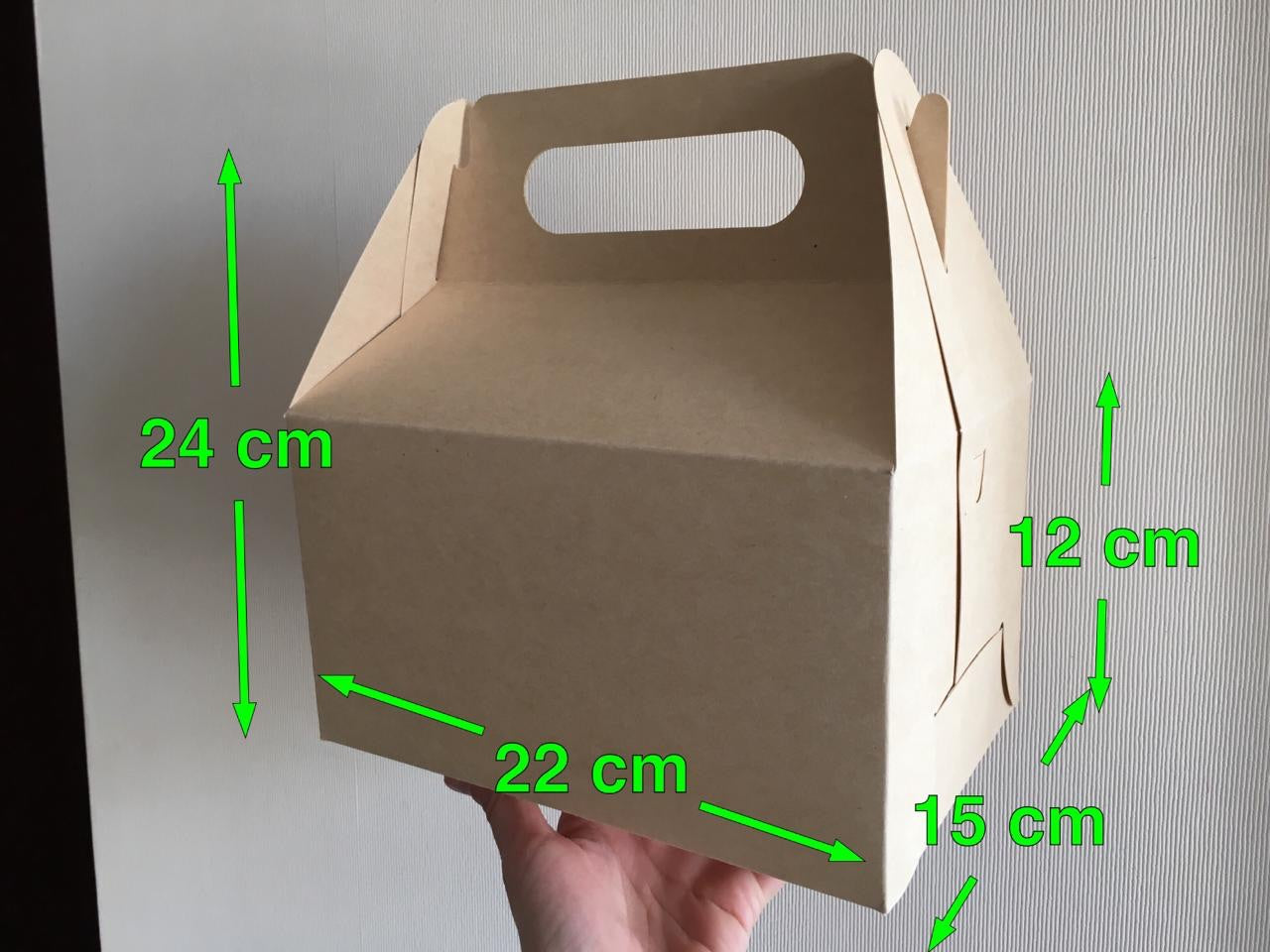 Caja Lunch Boutique - Desechables Chiguayante