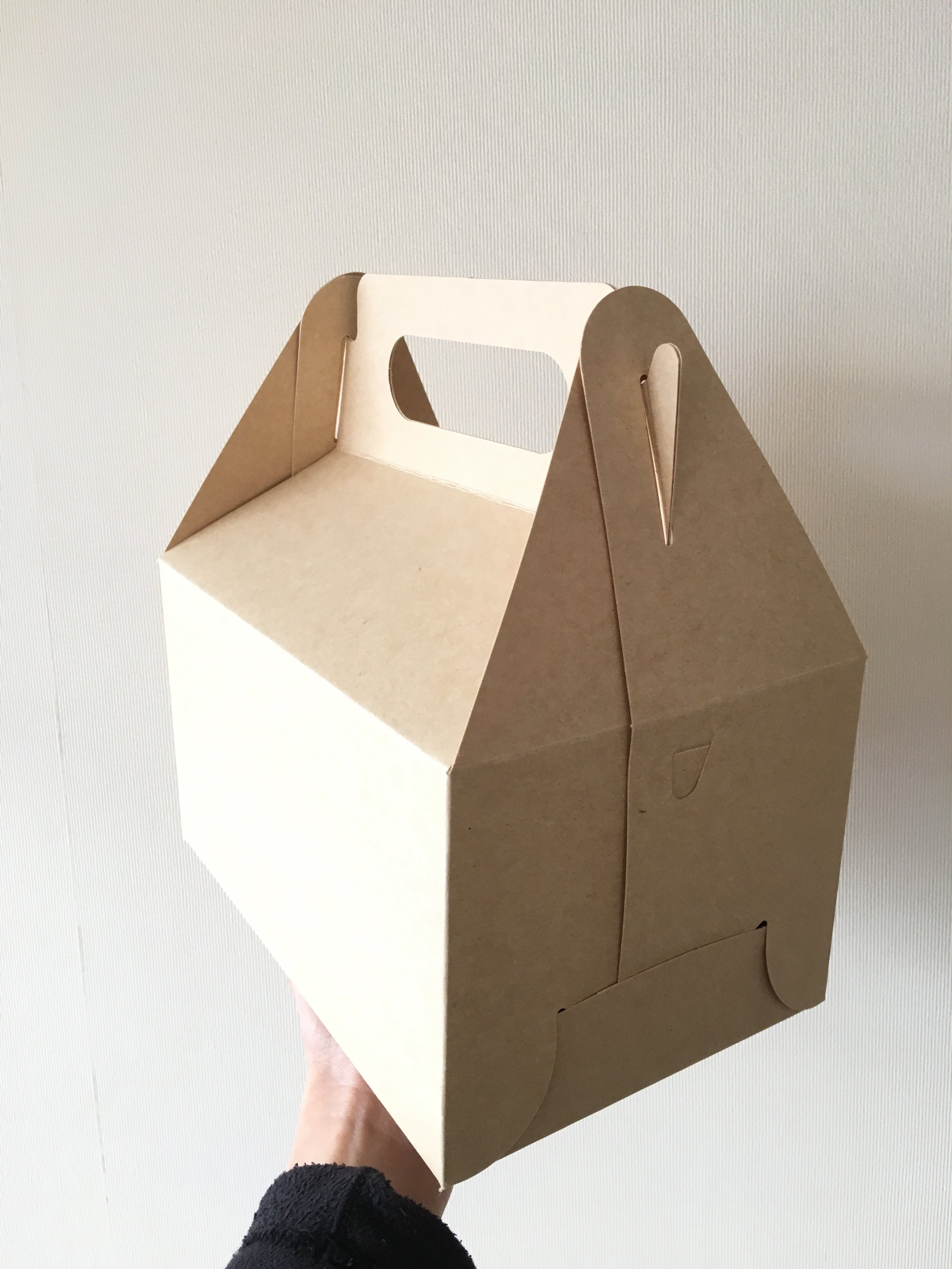 Caja Lunch Boutique - Desechables Chiguayante